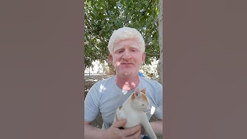 تلاوة الشمس والقمر بحسبان بصوت #القارئ_عامر_جبو #عامر_جبو