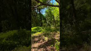 Day Hike in Florida AFT 2024 🔥🆙 #florida #trevdevadventures #hiking #dukkie