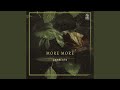 More More