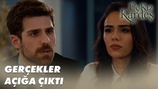 Somer, Dönüş'ün Evlatlık Olduğunu Öğrendi - Üç Kız Kardeş 36. Bölüm