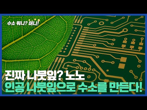 [수소뭐니?머니!] 식물만 광합성? 이제는 인공 나뭇잎으로 수소를 만든다!