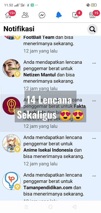 14 penghargaan - Lencana 