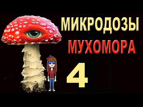 4 Мухомор Заготовка Рецепты Хранение Amanita Preparation Recipes Storage English CC баба Маша