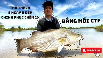 Thử Thách 5 Ngày 5 Đêm Chinh Phục Cá Chẽm Hàng 1x Thiên Nhiên Bằng Mồi CTF || Chí Toàn Fishing