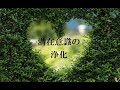 【潜在意識の浄化】自己否定感・負の感情を浄化し 書き換える｜ "Clearing Subconscious Negativity" Mindfulness Relaxing Music