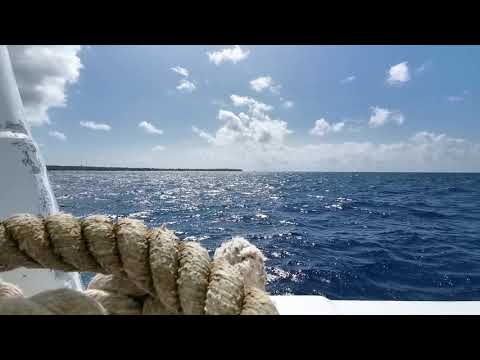 VID 20210201 113010