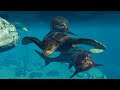 PREHISTORIC MARINE SPECIES DUNKLEOSTEUS, ARCHELON, NOTHOSAURUS - JURASSIC WORLD EVOLUTION 2