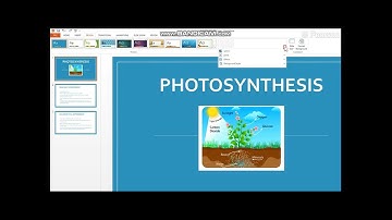 Class 5 - Ch 6 - Working with Slides in Powerpoint - Applying Themes