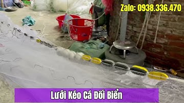 Lưới Kéo Cá Đối Biển.Cước Đúc Thái Lan.Chì Đúc nguyên khối xuyên tâm.Cao 3x100m mắt 2,5cm .Bao Hàng