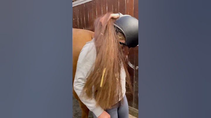 Pferdehofliebe - Pferd fertig machen mal anders 😂 #pferdehofliebe #pferde #reiten