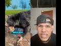 Suscríbete & dale like si amas a tu papá & lo salvarias 👨🏻#viral #dominicana #mrbeast #papa