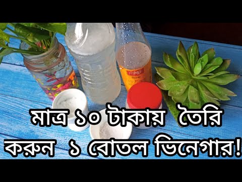 ভিডিও: কীভাবে ভিনেগার দিয়ে কাবাবগুলি মেরিনেট করবেন