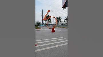 Rồng bay 🐉🐉 #liondance #mualantrungthu #lansurong #trungthu