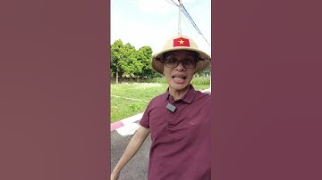 Bán đất Hòa Lạc - Khu công nghệ cao hòa lạc #datnenhoalac #batdongsan #hoalac #thinhdatdai #dautu