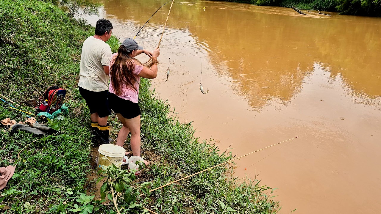 FUI OBRIGADO A DEIXAR O VÍDEO COMPLETO DA PESCARIA POR QUE TINHA MUUUITO PEIXE NESSE RIO!