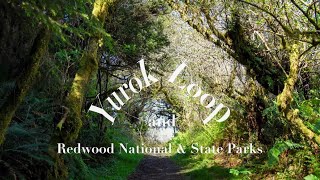 Yurok Loop, Hidden Beach, Grove of Titans and Lady Bird Johnson Grove Trail