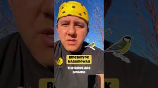 Ojibwe word of the day | Bineshii #anishinaabe #indigenous #indigenousculture #wordoftheday #ojibwe