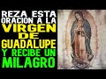 Haz esta Oracion a la Virgen de Guadalupe y recibe un Milagro en tu Vida