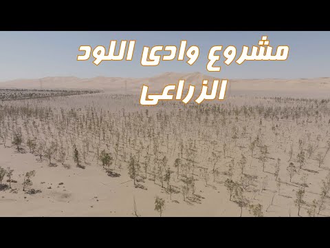 وادي اللود مشاهد حزينة لمشروع زراعي هائل كان يقف في وجه التصحر بلونه الاخضر