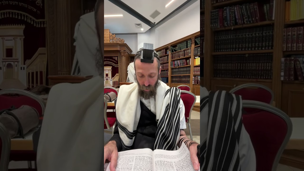 וילבש צדקה כשריון – כל פרוטה מוסיפה הגנה | הרב מנחם מיידנצ'יק, ז' מנחם אב | אגרות הקודש פרק ג'