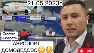 Таможня контрол😳😳✈️АЭРОПОРТ Домодедово ✈️ 21.05.2023г