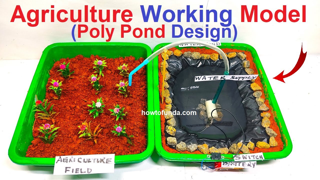 innovative agriculture working model (poly pond) - diy - new design ...