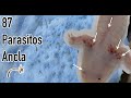 Hospital Axolotl &quot;Ajolote con 87 Parasitos&quot; Capitulo 1