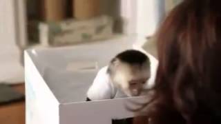 Kmart TV Commercial, 'Mommy's Little Helper' screenshot 1