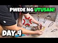 KALAPATING HANDFEED KO MASUNURIN NA SA AMO #kalapati   #pigeon
