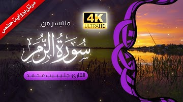 قل إنى أمرت أن أعبد الله مخلصًا له الدين | سورة الزمر - sûrat al-zumar | جليبيب محمد