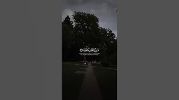 قران كريم ارح قلبك وسمعك #قران_في_دقيقة  #المصحف #quran #يوسف_الصقير @قران_في_دقيقة #قرآن