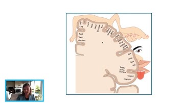 Seizures From Brain Tumors | UCSF Brain Tumor Center