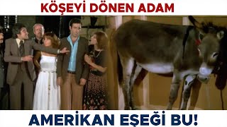 Köşeyi Dönen Adam Türk Filmi | Amerika'dan Gelen Miras Eşek Çıktı | Kemal Sunal Filmleri