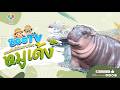🔴 Live! Moo Deng | 1-5-2026 , 21:00 | Zoo TV สวนสัตว์เปิดเขาเขียว
