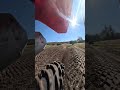 Volume up ⬆️ #dirtbike #legalizewheelies #satisfying