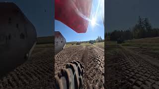 Volume up ⬆️ #dirtbike #legalizewheelies #satisfying