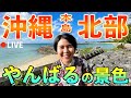 【沖縄観光LIVE】世界自然遺産「やんばる」の景色を眺めながら生配信やいびーん！