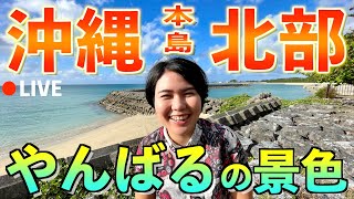 【沖縄観光LIVE】世界自然遺産「やんばる」の景色を眺めながら生配信やいびーん！