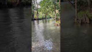Río Zarco, El estor Izabal -Guatemala