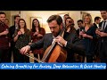 🌿 Cello Soothing Therapy Music for Anxiety Relief: Deep Relaxation & Calming Gym Workout Audio
