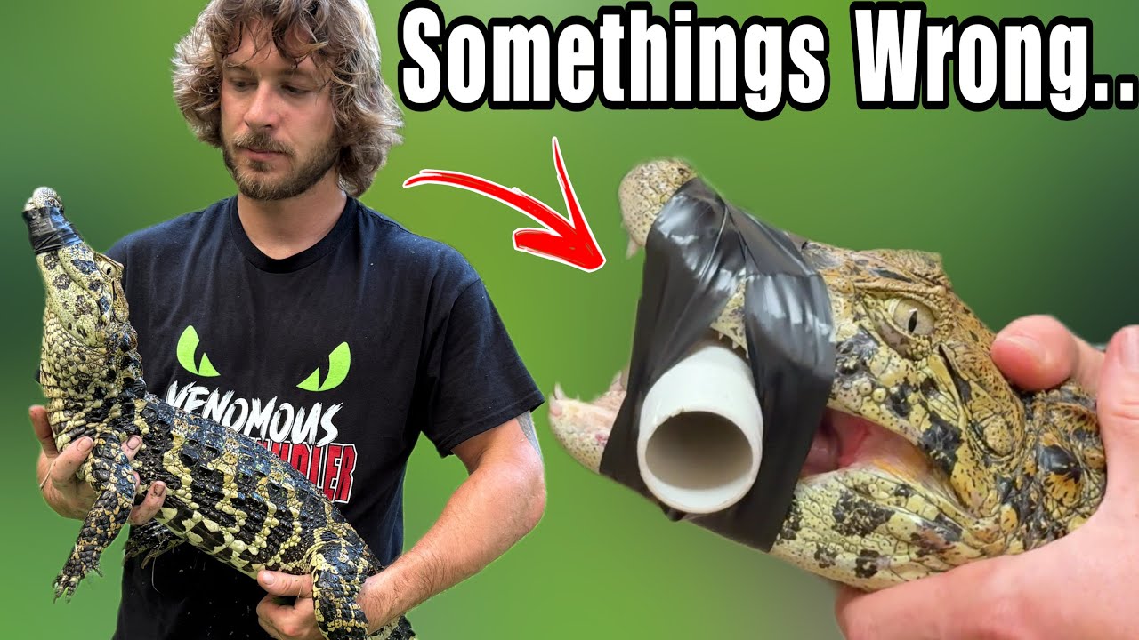 Somethings Wrong with Bridget..