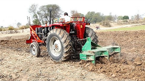 Mf 375 with 5 tine chisel(GOBA) Powerful 💪💪 cultivation performance