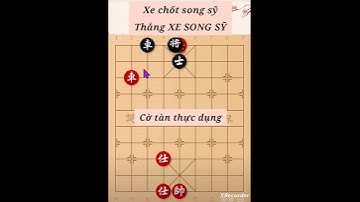 Cờ tướng tàn cuộc thực dụng xe chốt đối xe song sỹ clip 2 #short #cotuong #cotan