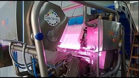 Dryce optical sorting machine for frozen french fries | RAYTEC VISION SpA
