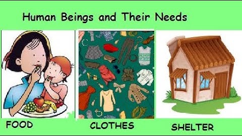 HUMAN BEINGS AND THEIR NEEDS | CLASS 1 | SCIENCE| EVS | NSO