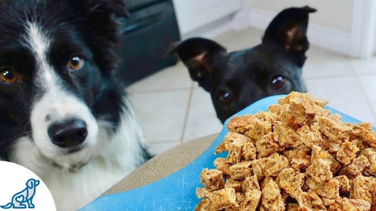 best high reward dog treats