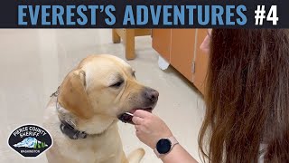 Everest Visits the Forensics Lab