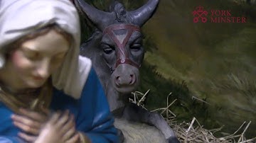 A little Story for Christmas 2020 from York Minster