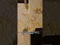 Fossils Explained #explained #didyouknow #interesting #fossil #facts #science #history