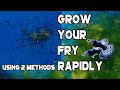 How to grow your fry rapidly using two methods